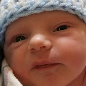 Meet your Posher, Rosie